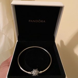 Pandora bracelet